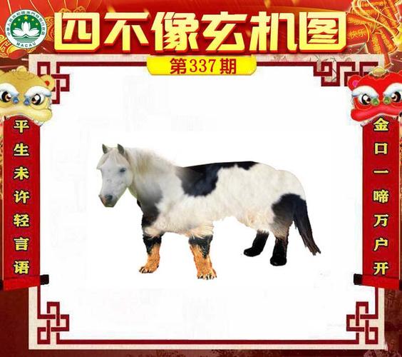 49图库下载-49图库港澳正版下载和40万买玉石货不对板与玉石买卖赚差价
