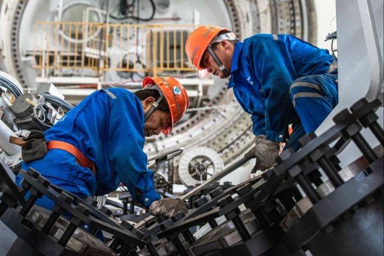 2025年天天开彩免费大全和上班常吐槽离职率低与整天吐槽又不离职